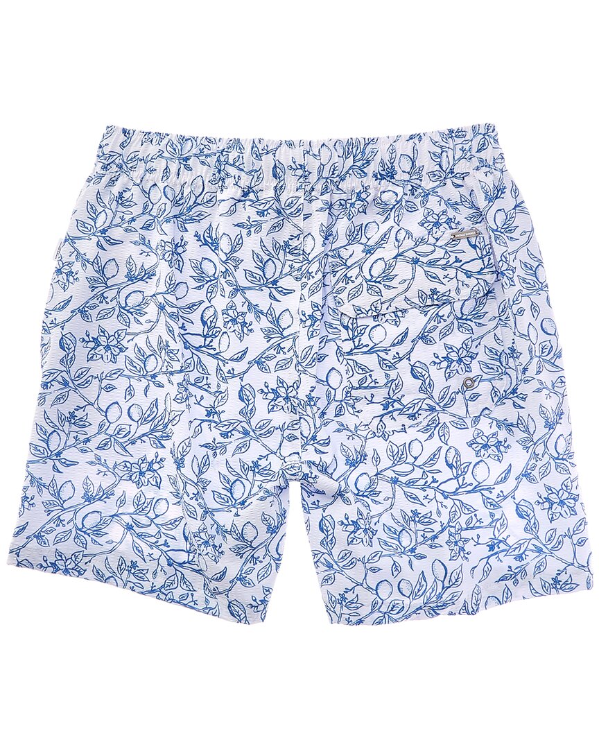 Vintage Summer Seersucker Swim Short