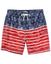 Trunks Surf & Swim Co. Sano Swim Trunk