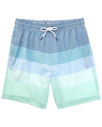 Trunks Surf & Swim Co. Sano Swim Trunk