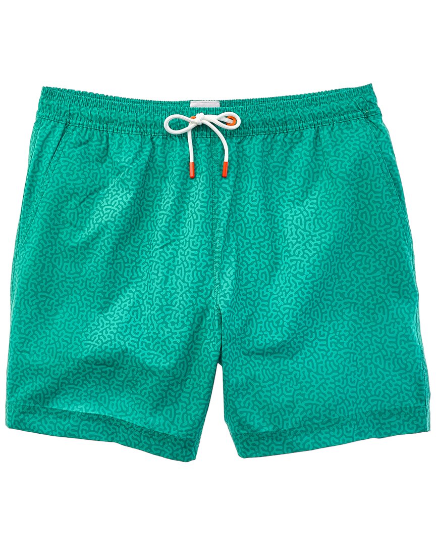 Swims Breeze Swim Short