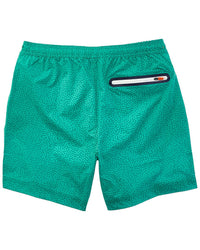 Swims Breeze Swim Short