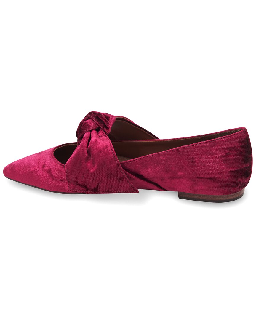 Bcbgmaxazria Prely Velvet Flat