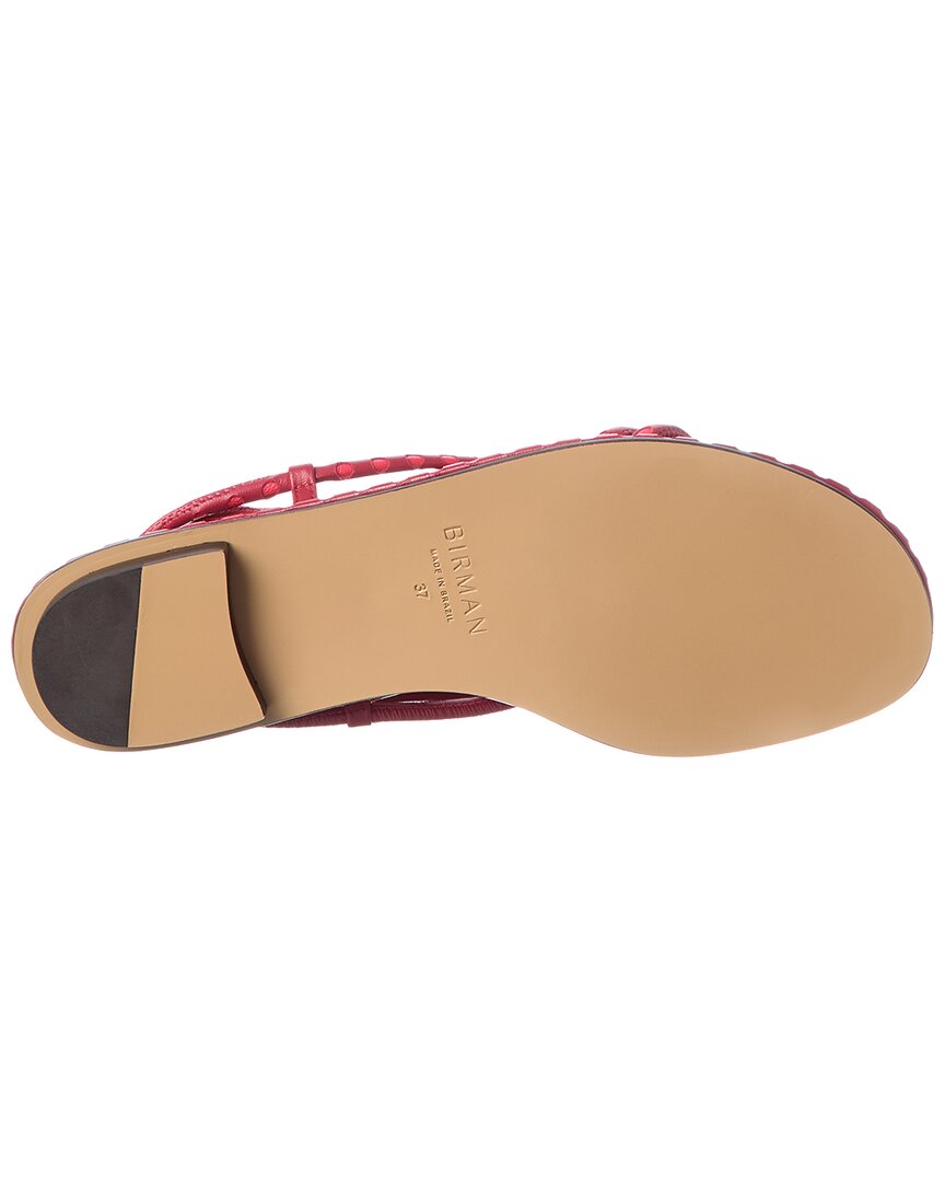 Alexandre Birman Donna Leather Flat