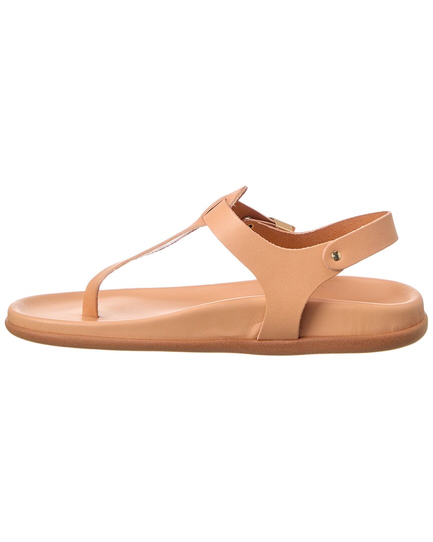 Ancient Greek Sandals Alki Leather Sandal – Bluefly