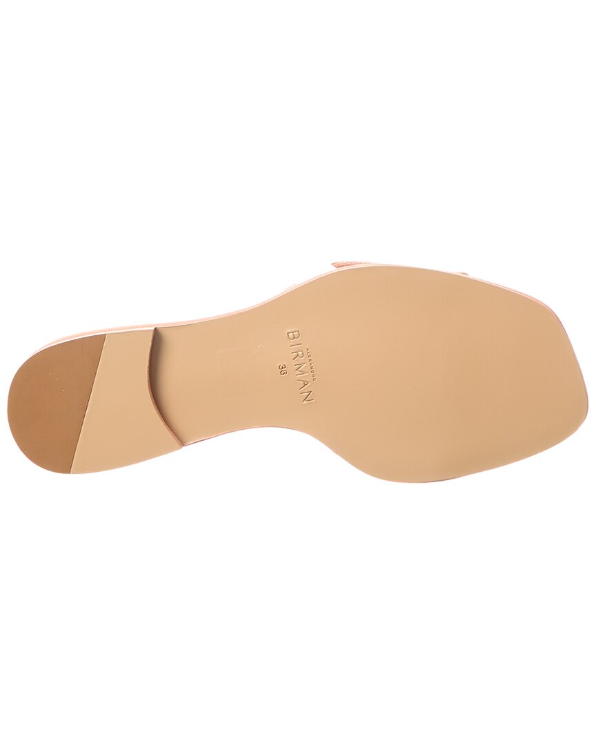 Alexandre Birman Aria Grosgrain Flat