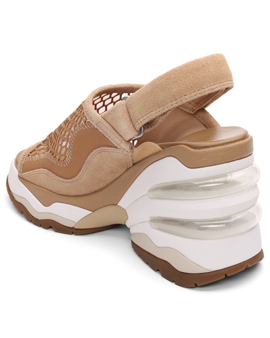 Ash Ash Ceva Wedge