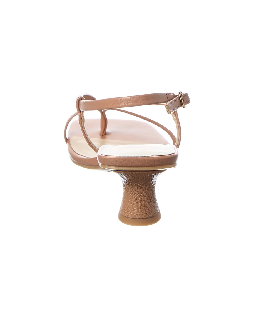 Dolce Vita Brina Sandal