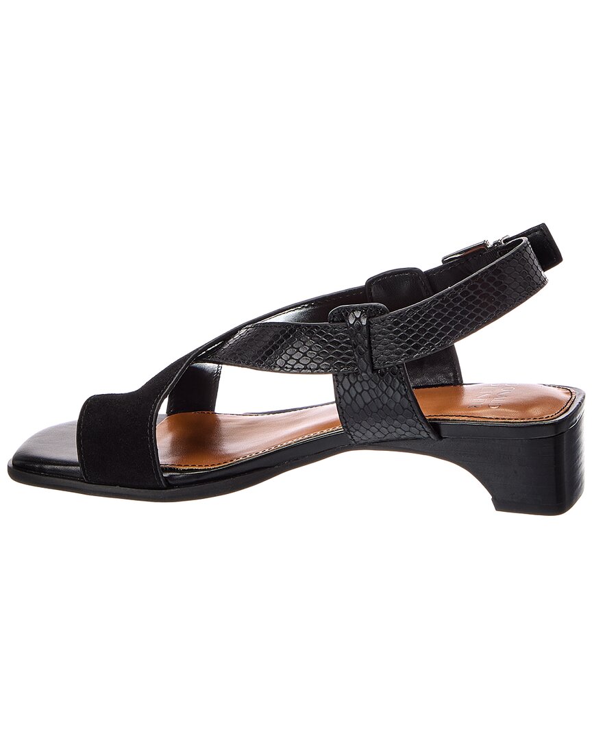 Donald Pliner Donald Pliner Charita Leather Sandal