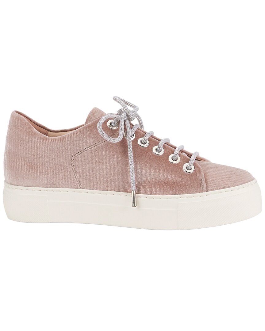Agl Vananda Velvet Sneaker