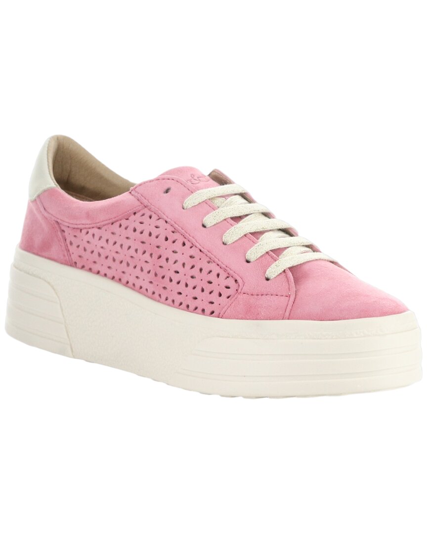Bos. & Co. Lotta Suede Shoe