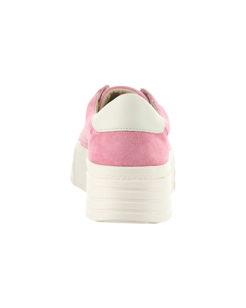 Bos. & Co. Lotta Suede Shoe