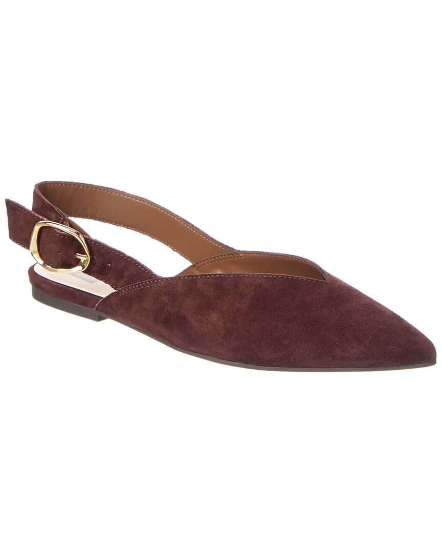 Dolce Vita Dolce Vita Grace Suede Flat