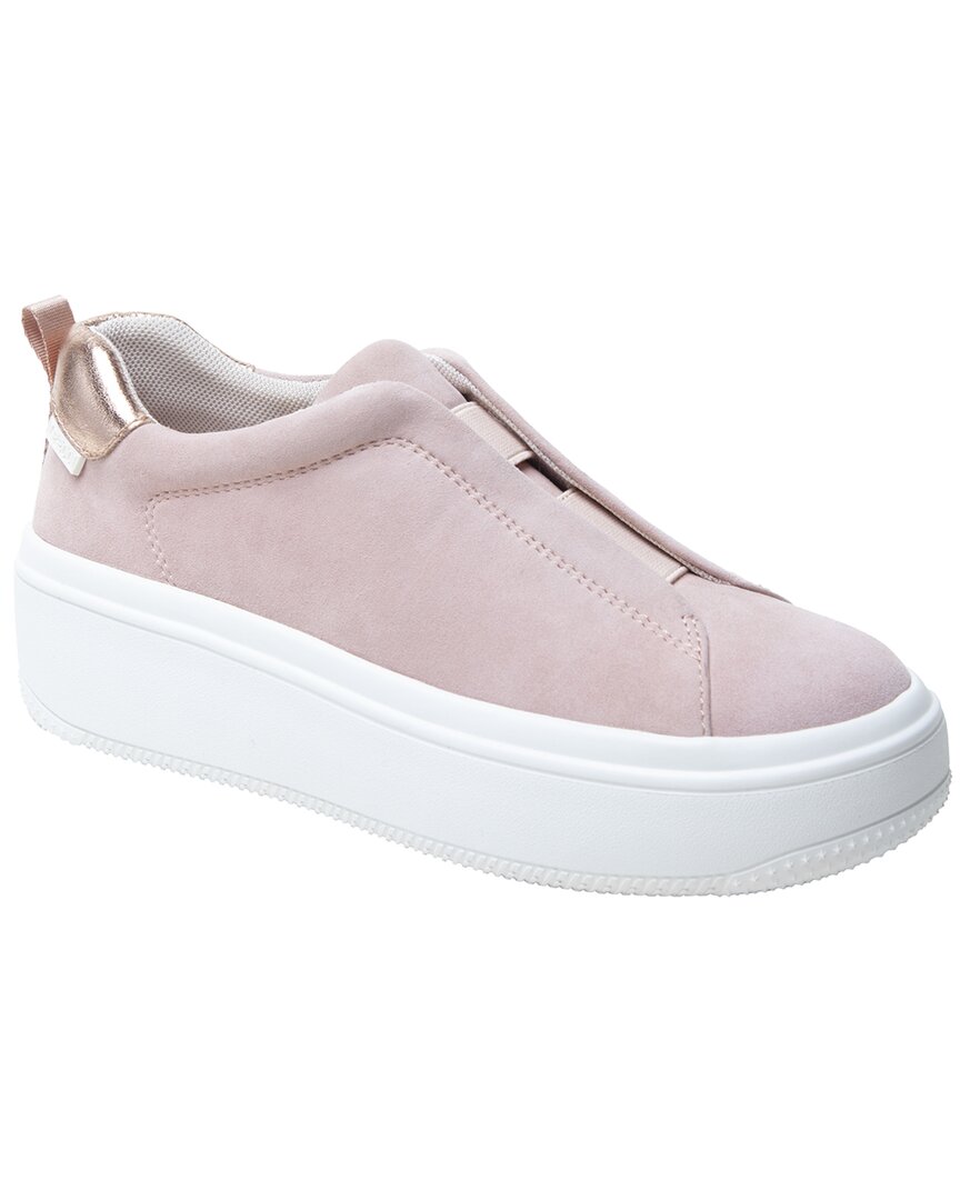 Linea Paolo Golde-L Suede Sneaker
