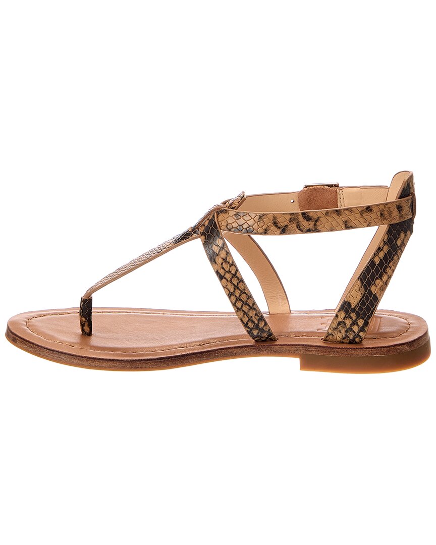 Frye Frye Taylor Leather Sandal