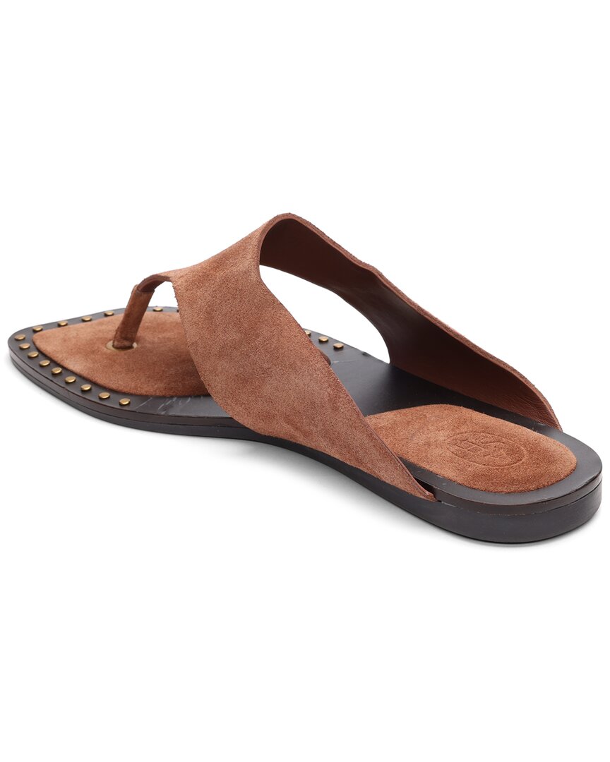 Ash Ash Genius Suede Sandal