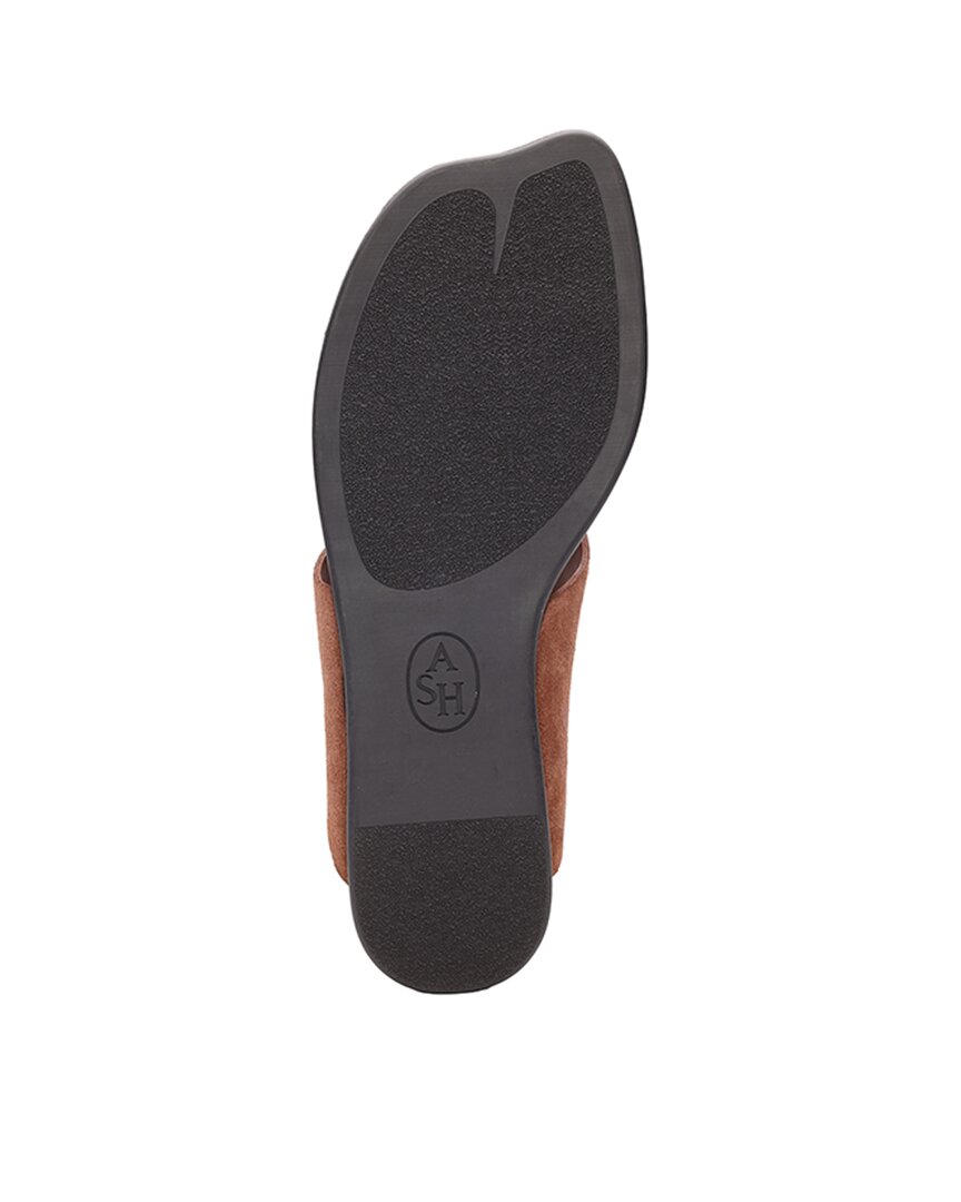 Ash Ash Genius Suede Sandal