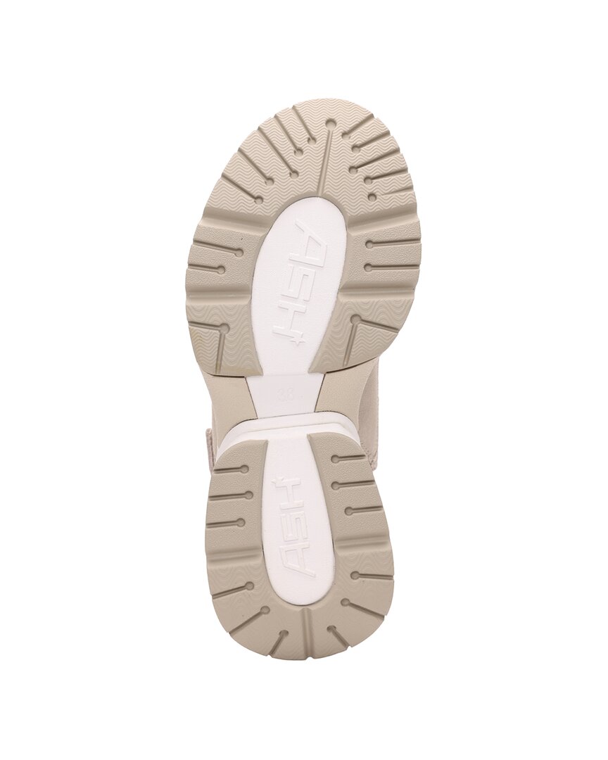 Ash Ash Ceva Wedge