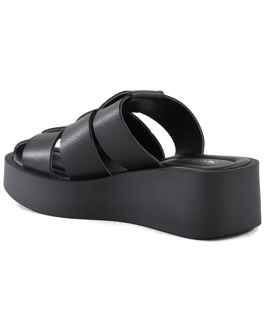 Seychelles High Standard Mule