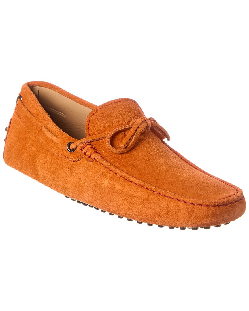 Tod’S New Laccetto New Gommini Suede Loafer
