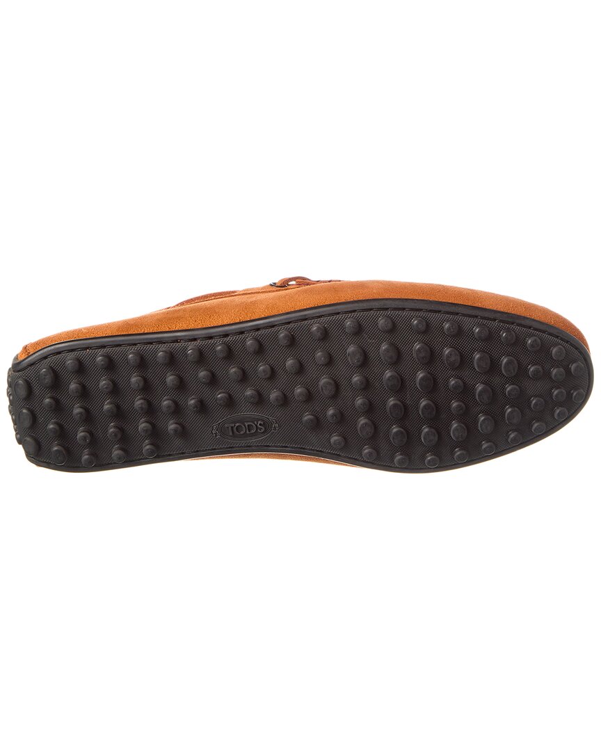 Tods Laccetto City Gommino Suede Loafer