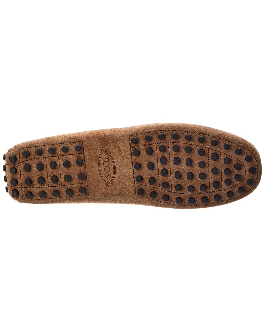 Tod's Gommino Suede Loafer