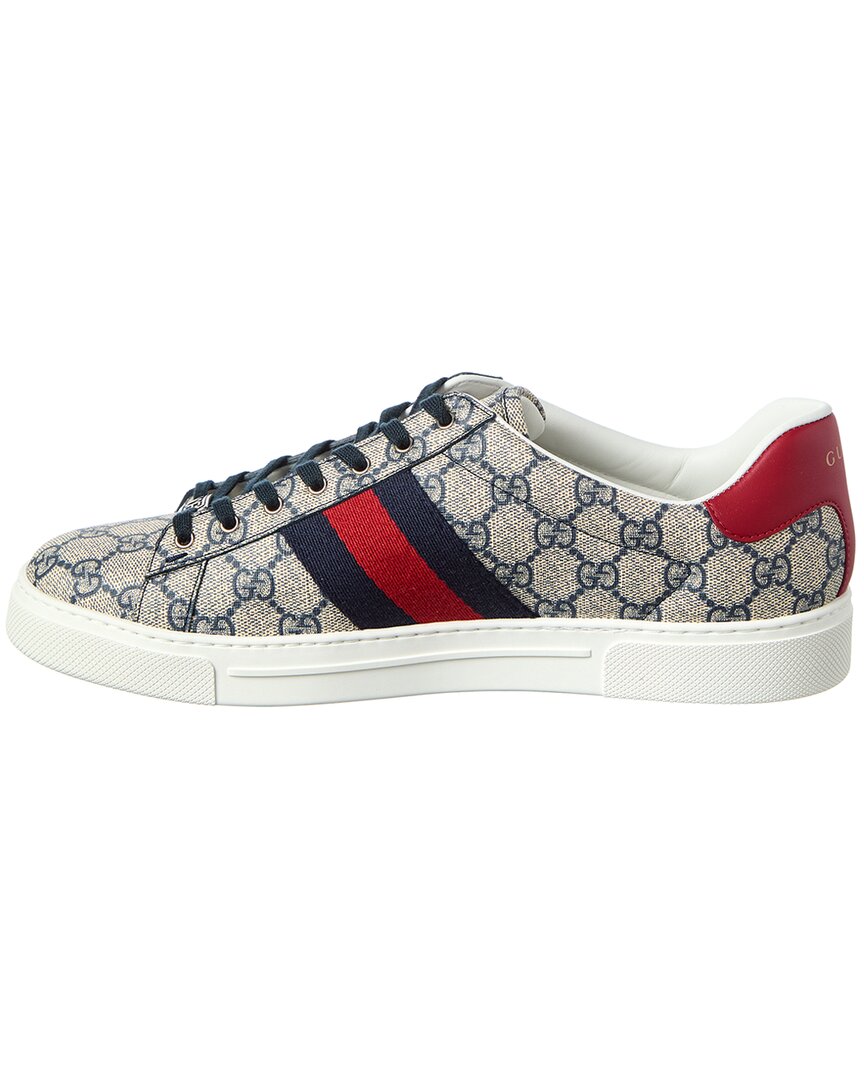 Gucci Gucci Ace Web Gg Supreme Canvas & Leather Sneaker