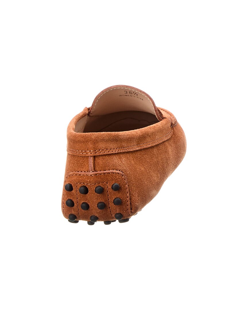 TOD's Tods Gommino Suede Loafer