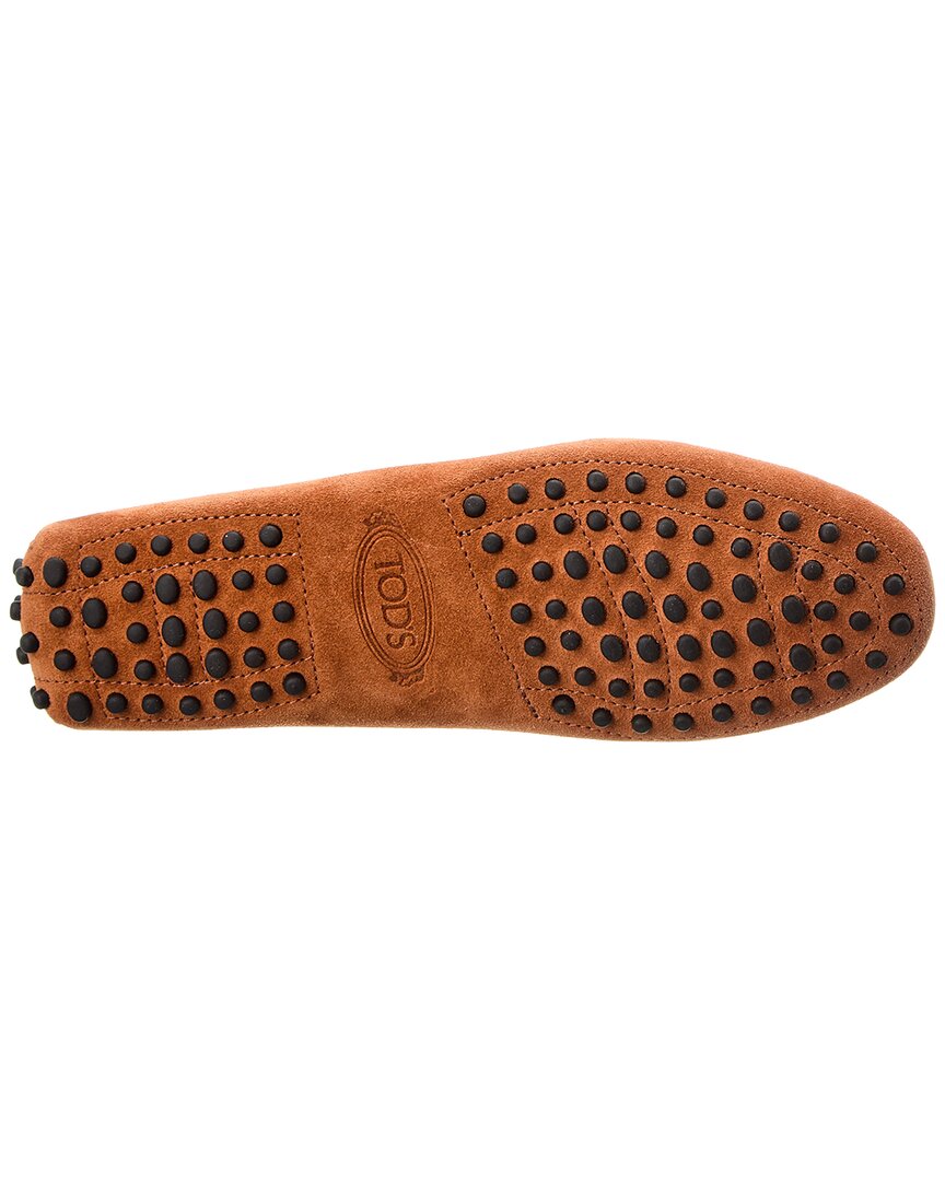 TOD's Tods Gommino Suede Loafer