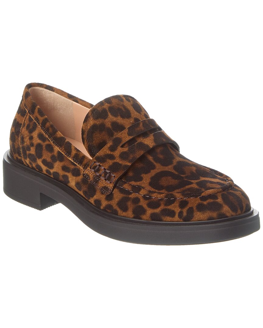 Gianvito Rossi Harris Suede Loafer Brown Multi