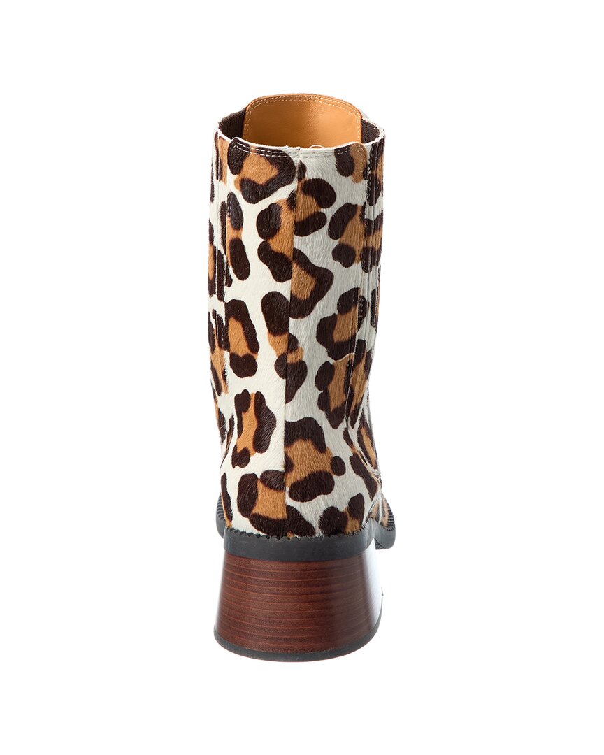 Dnu Pack Tods Gomma Haircalf Bootie