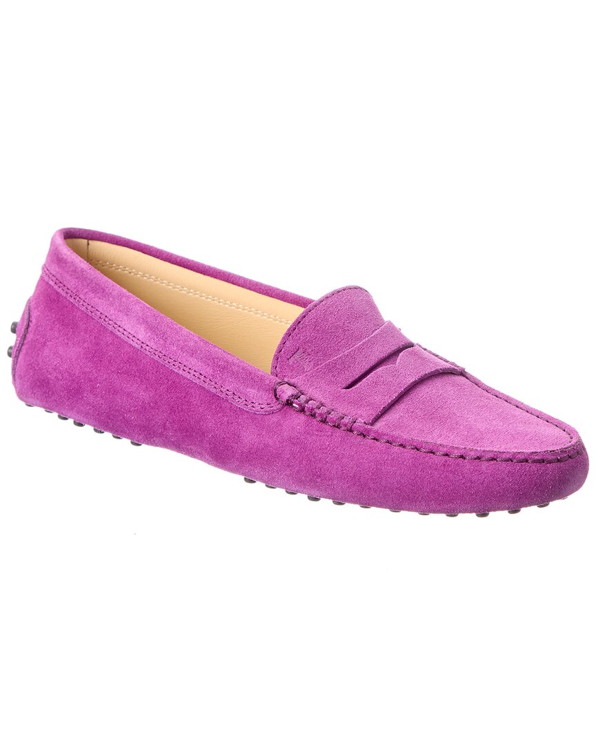 TOD's Tods Gommino Suede Loafer