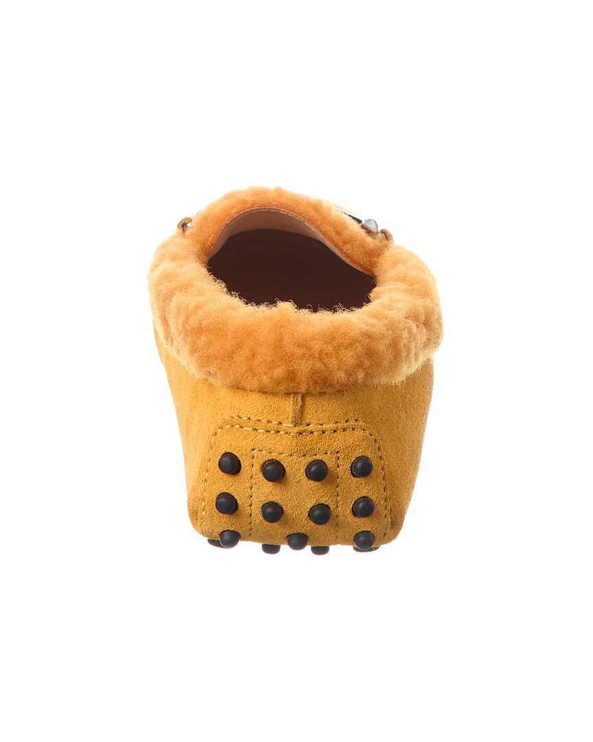 TOD's Tods Suede & Shearling Loafer