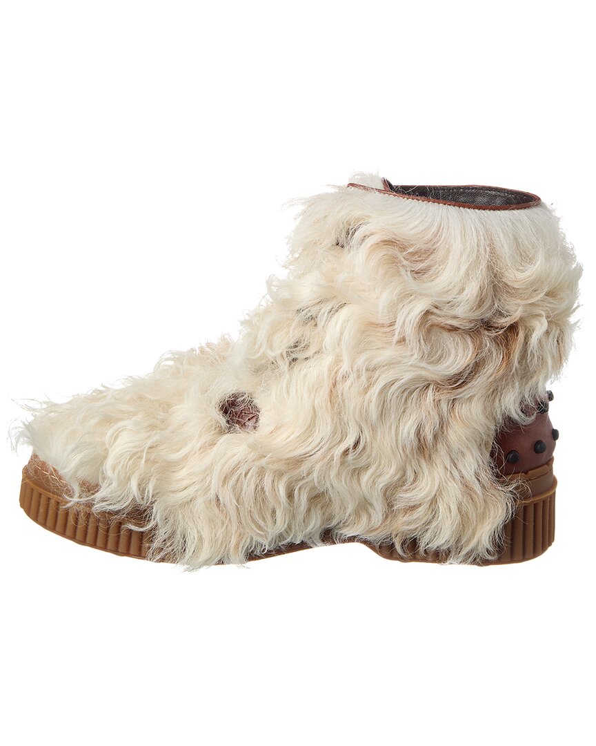 Tod’S Boot