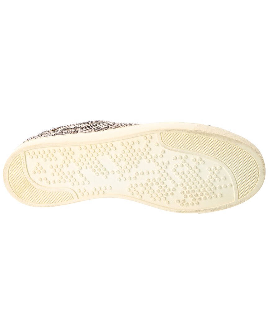Gianvito Rossi Low Top Python Sneaker