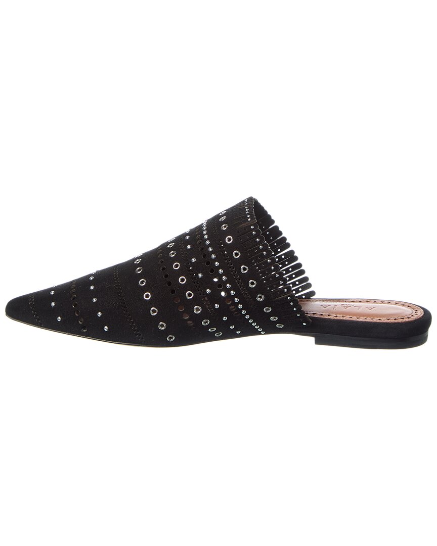 Alaia Suede Mule