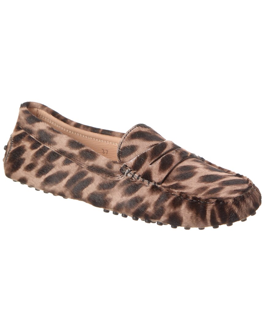 Tod's Haircalf Loafer