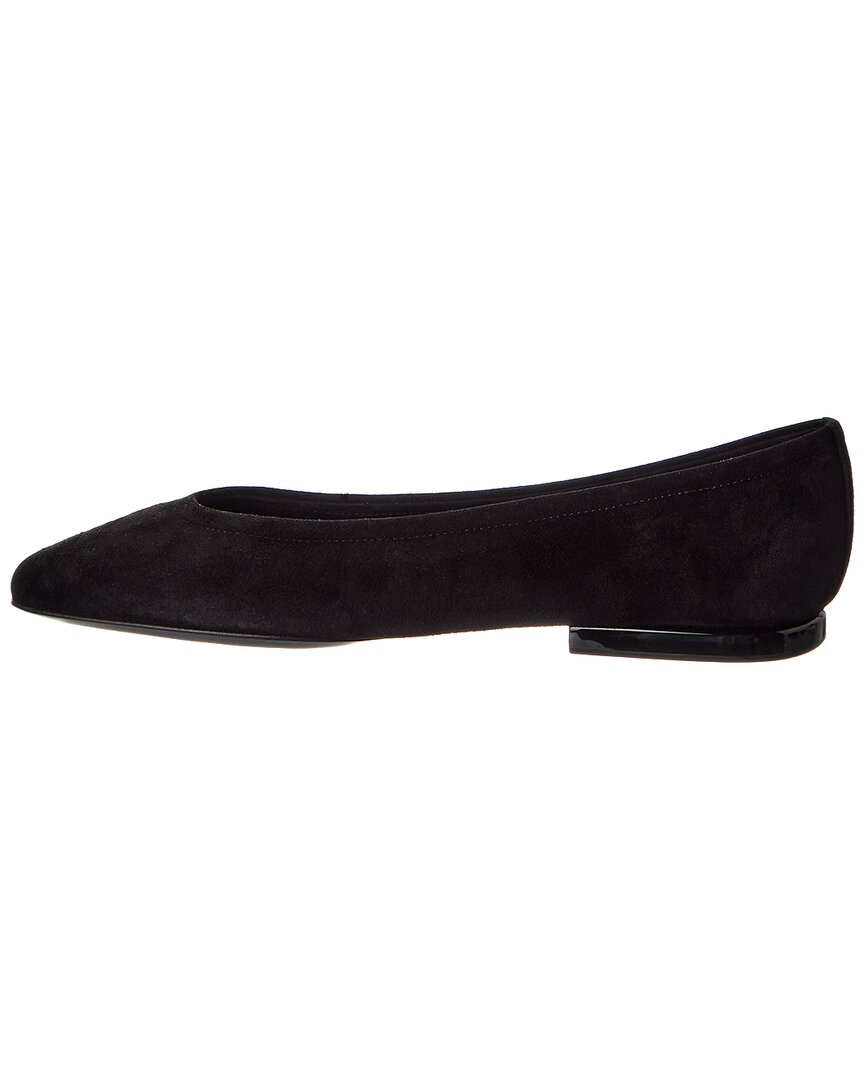 Loro Piana Primula Suede Ballerina Flat