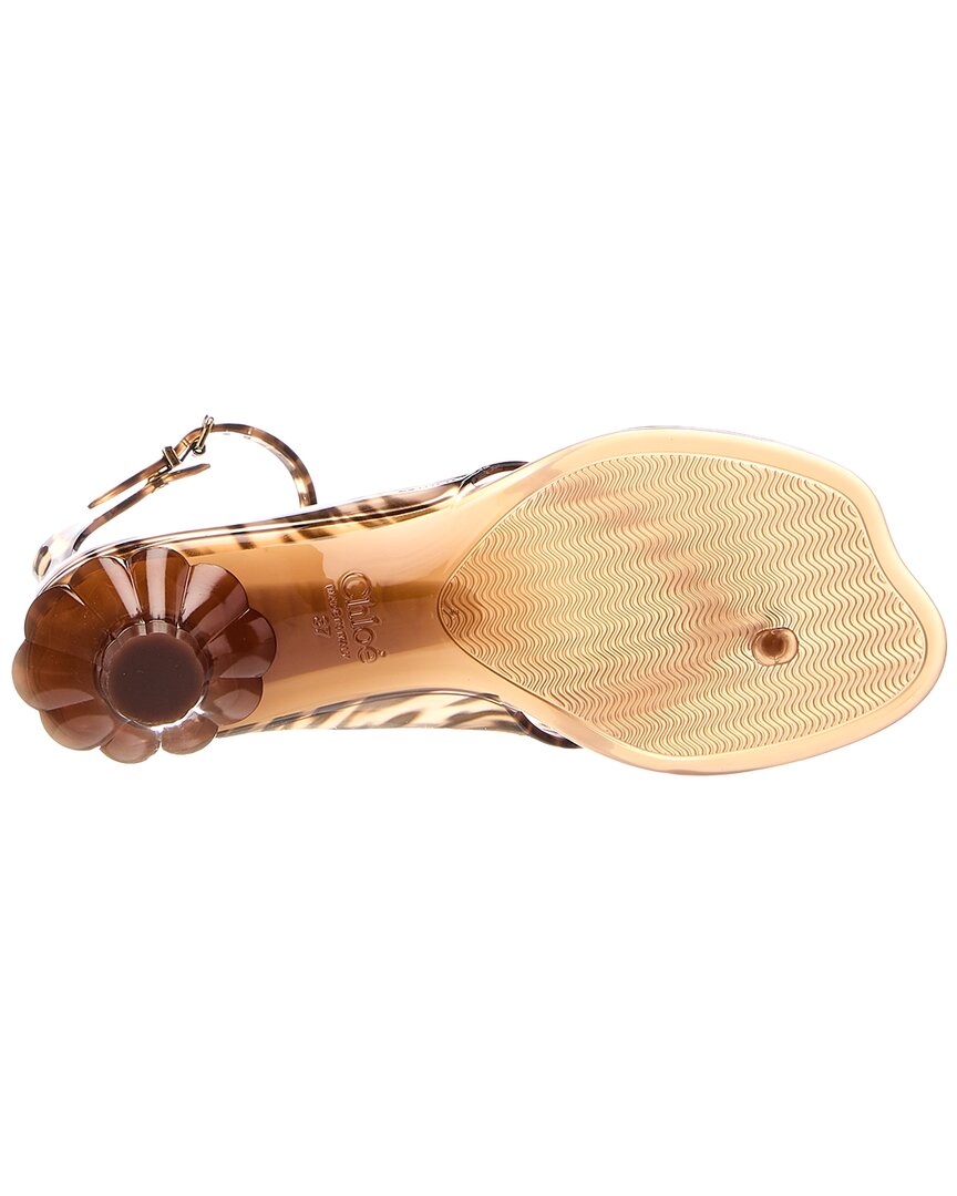 Chloé Chloé Jelly Tpu Ankle Strap Sandal