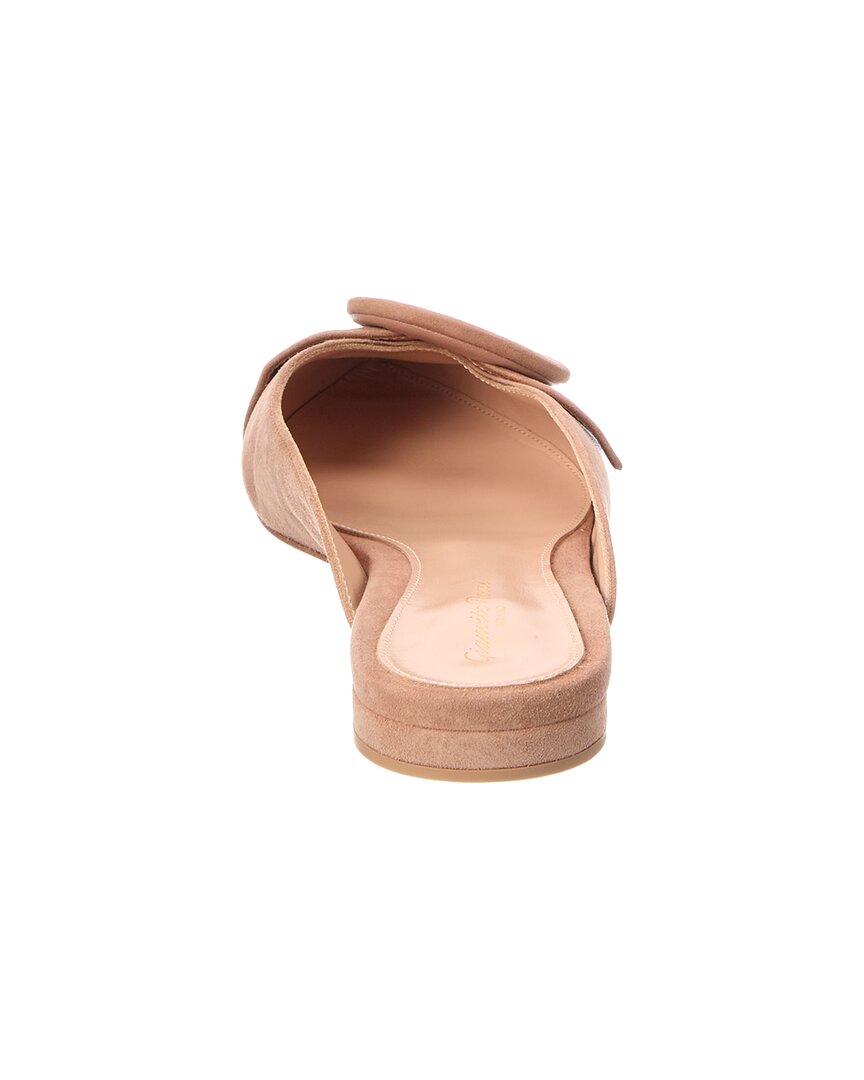 Gianvito Rossi Gianvito Rossi Suede Mule