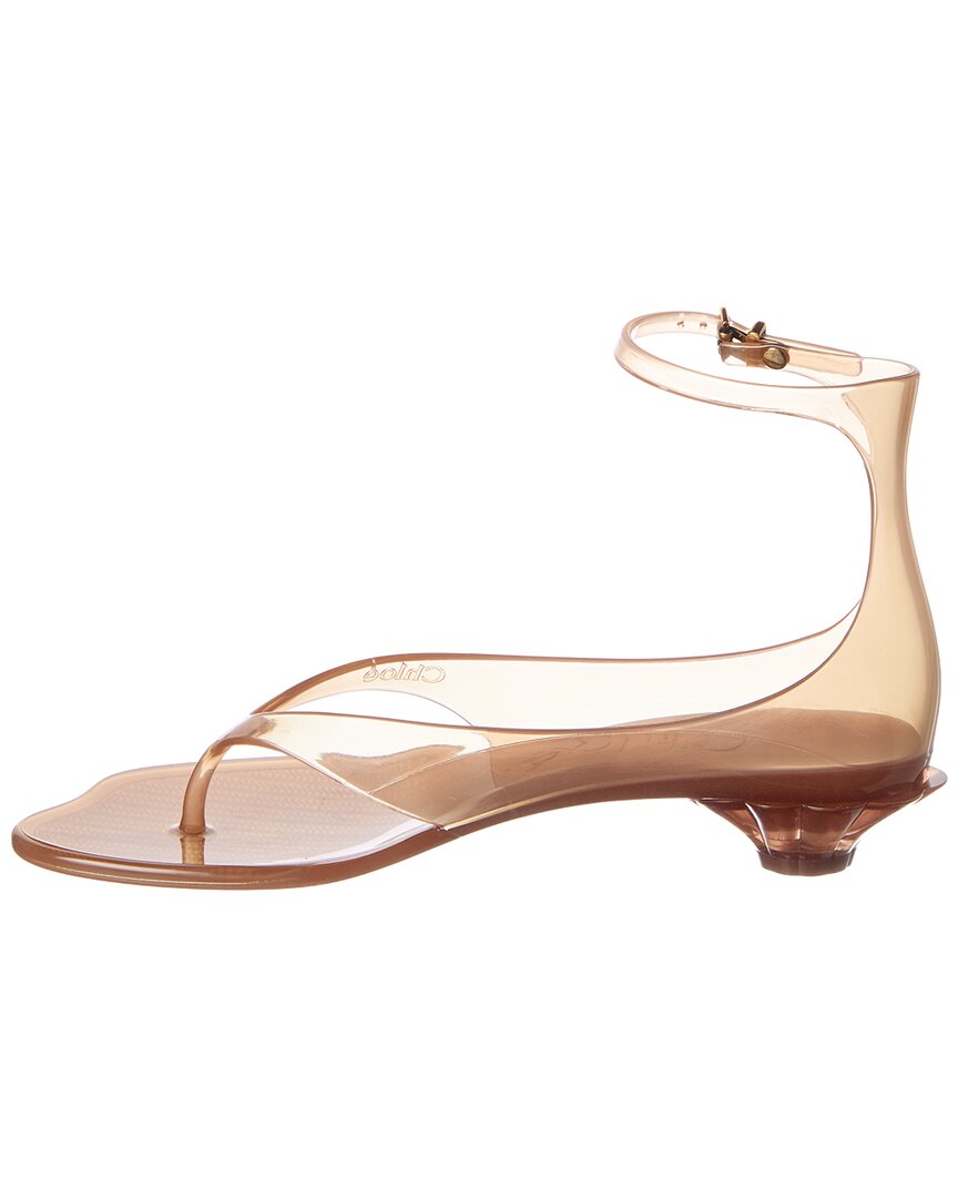 Chloe Jelly Sandal