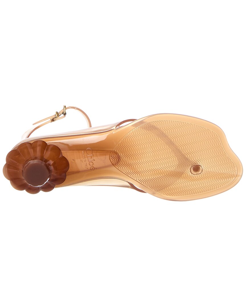 Chloe Jelly Sandal