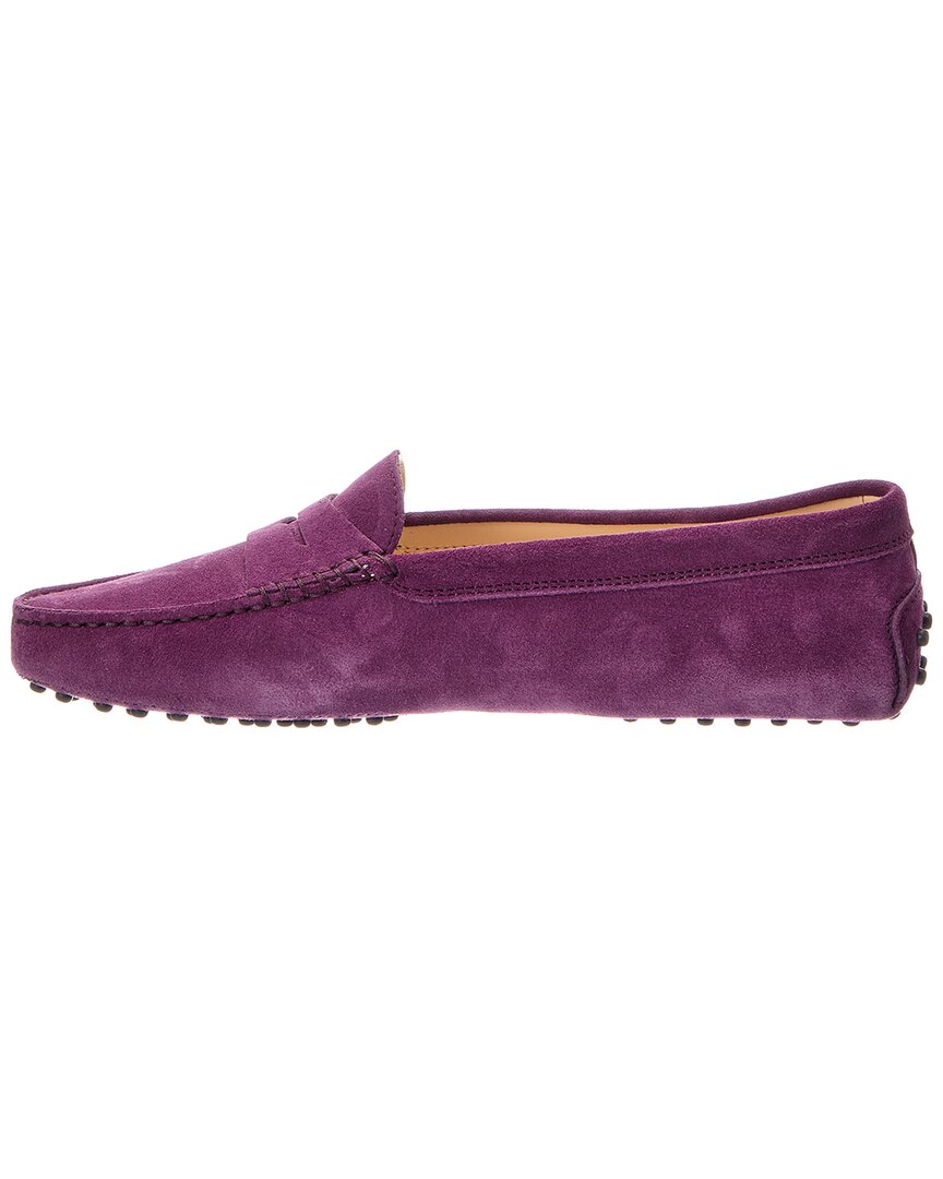 TOD's Tod's Gommini Suede Loafer