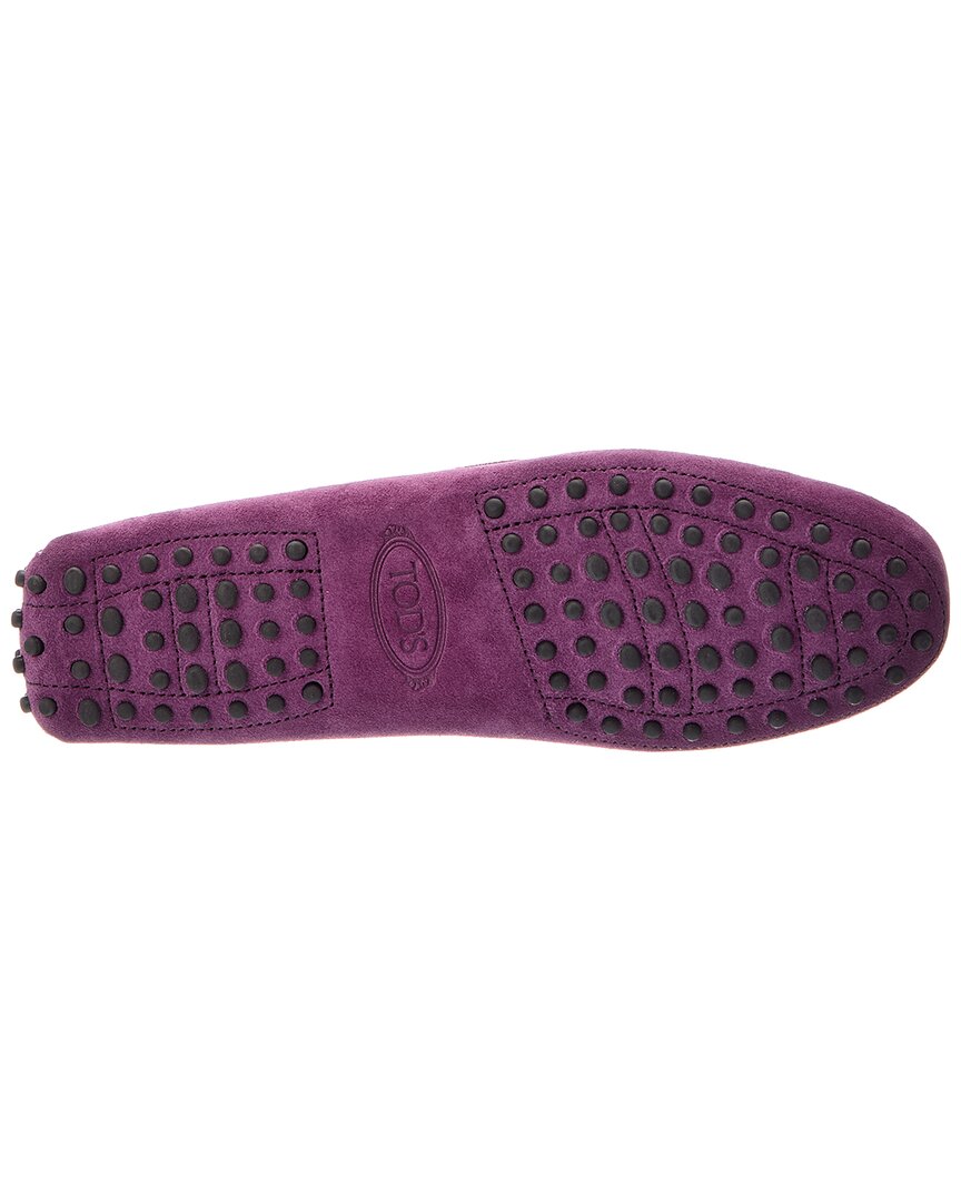 TOD's Tod's Gommini Suede Loafer
