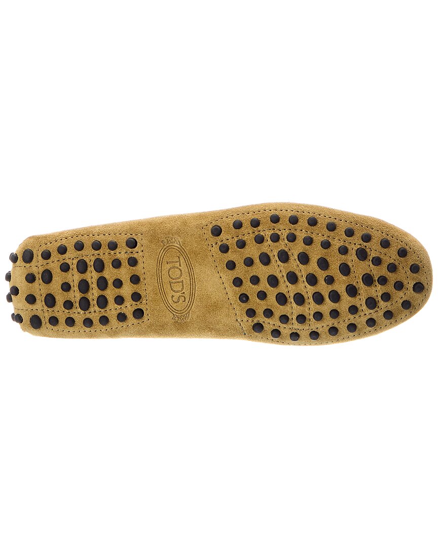 TOD's Tod's Gommini Suede Loafer