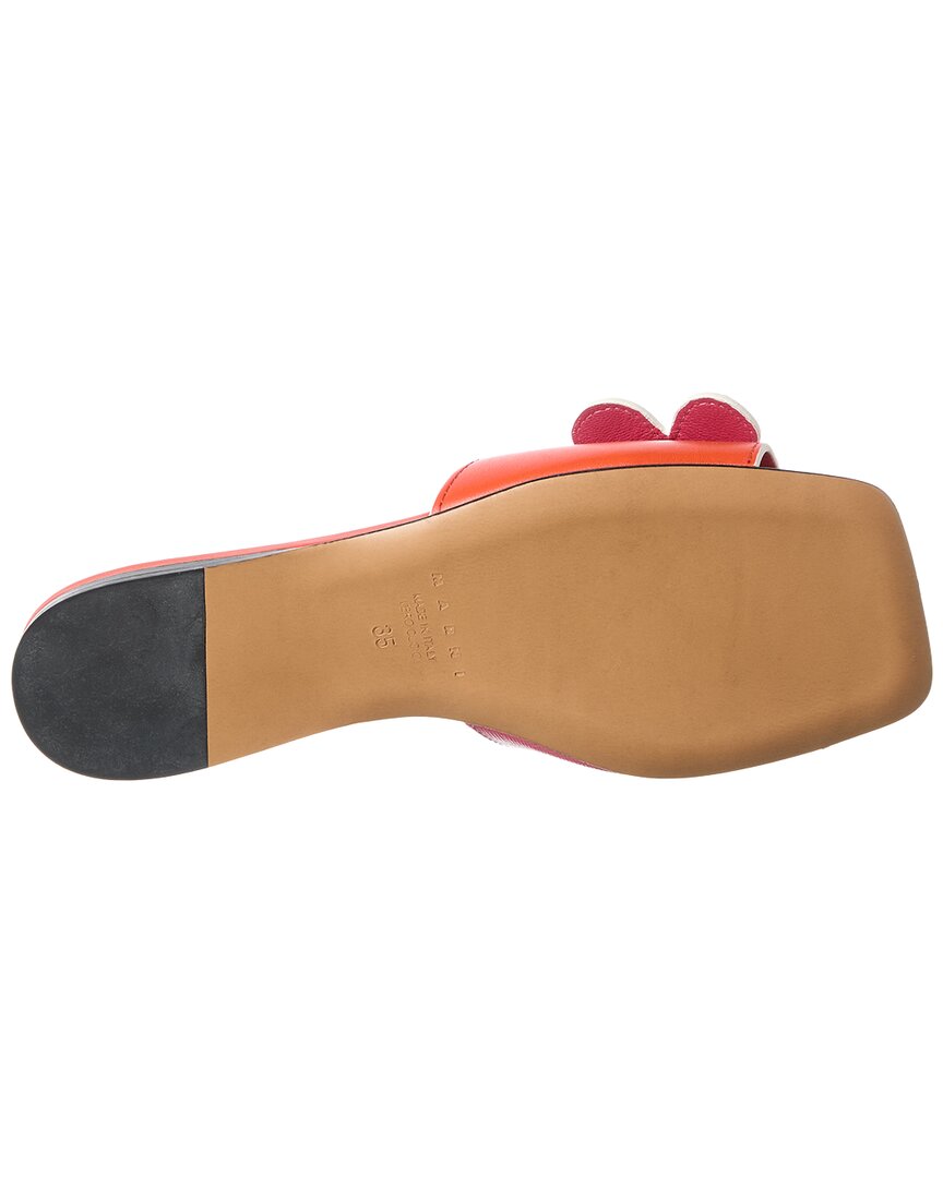 Marni Marni Leather Ballerina Flat