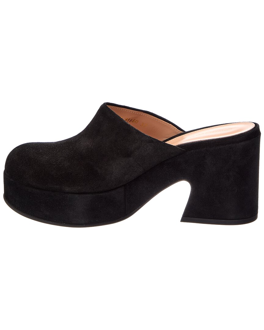 Gianvito Rossi Gianvito Rossi Suede Mule