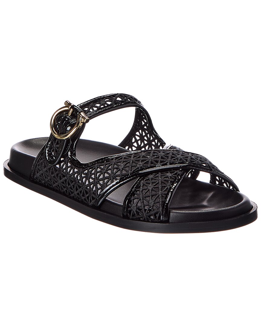 Ferragamo Cosmy Lace & Leather Sandal