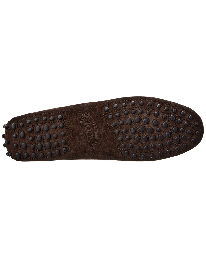 Tods Suede Loafer