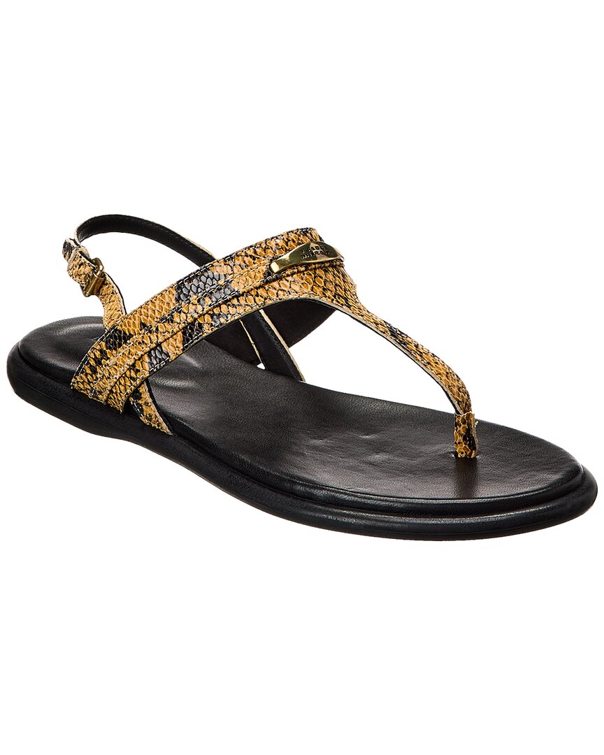 Isabel Marant Nya Snake-Embossed Leather Sandal Brown Multi