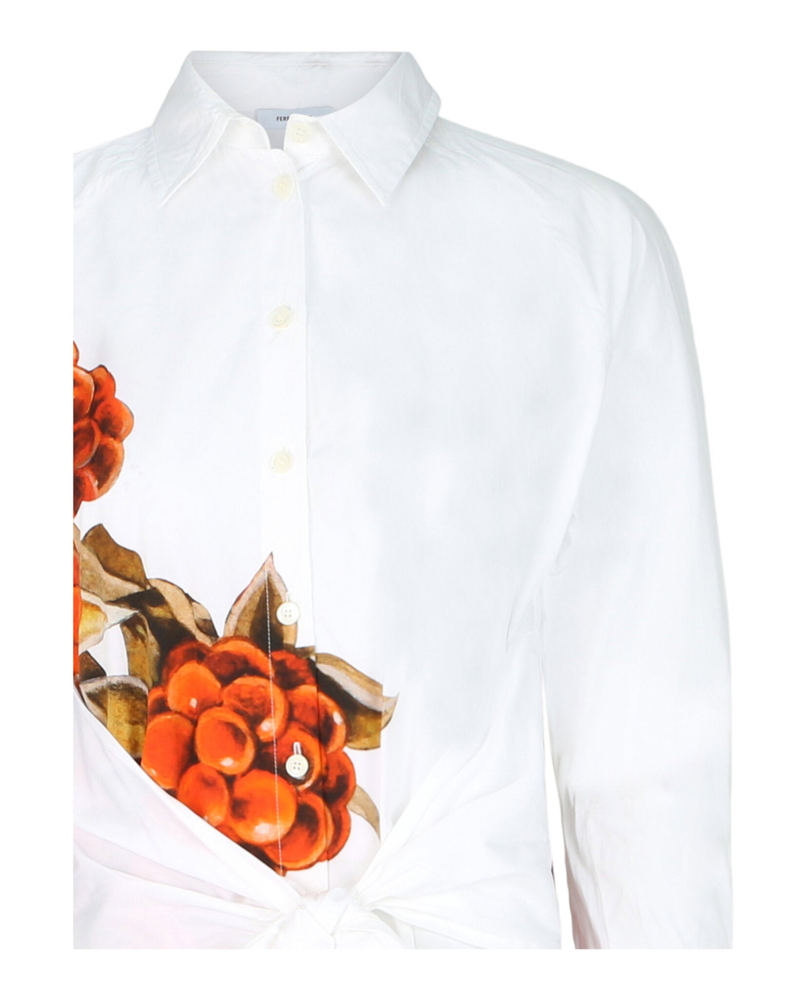 Ferragamo Womens Botanical Print Shirt Dress